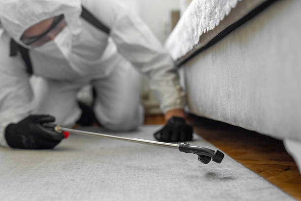 Professional Bed Bug Control technician working in Corvallis, MT
